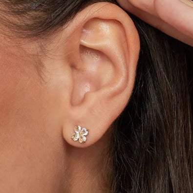 Piercing Liv